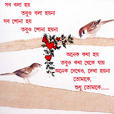 Bangla Islamic Voice Chat Room Scuolaedilelucchese It